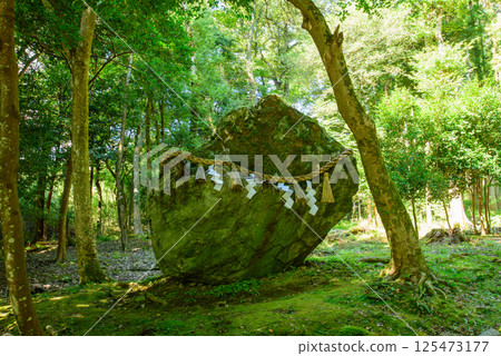 Moss-covered rock formations at Izumo Daijingu Shrine 125473177