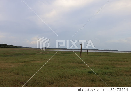 Scenery of Kaudala National Park [Sri Lanka] 125473334