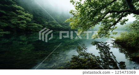 Forest after the rain and the calm lake surface, the breath of early summer 125473369