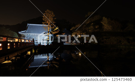 Night view of Shomyoji Temple in Kanazawa Bunko, Kanazawa Ward, Yokohama City 125473460
