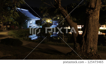 橫濱市金澤區金澤文庫稱名寺夜景 125473465