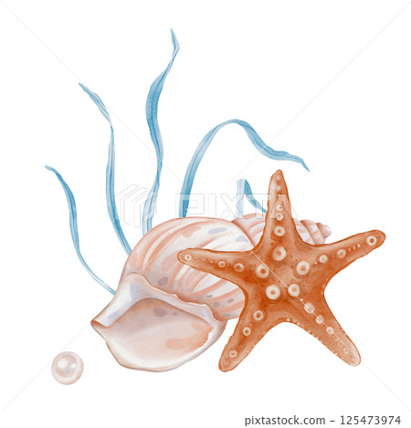 Watercolor composition of Seashell and Seaweed, star and pearl. Hand drawn illustration of pastel color Sea Shell and Algae on isolated background. Undersea element for design in marine vintage style. Watercolor composition of Seashell and Seaweed, star and pearl. Hand drawn illustration of pastel color Sea Shell and Algae on isolated background. Undersea element for design in marine vintage style. 125473974