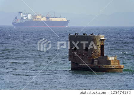 觀音崎公園的水中監聽站遺跡和駛過浦賀水道的大型船舶 125474183