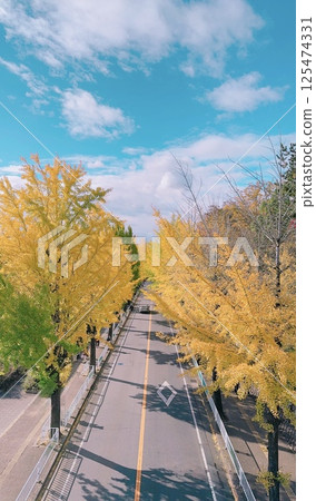 Golden Road 125474331