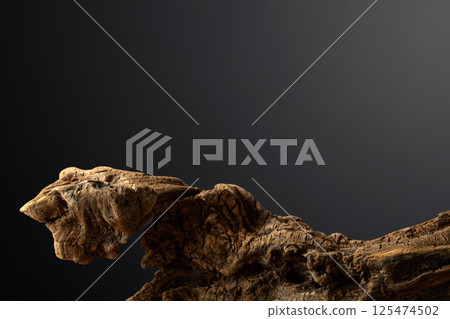 Dried wooden snag on a black background. Dried wooden snag on a black background. 125474502
