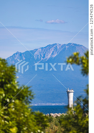 A white lighthouse towering among the fresh greenery A white lighthouse towering among the fresh greenery 125474526