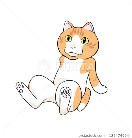 貓在休息 125474964