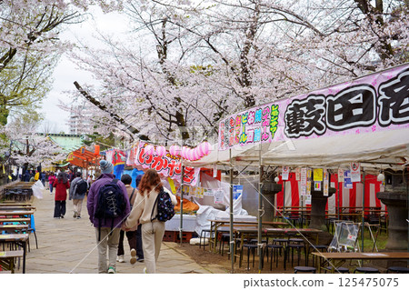 櫻花盛開的上野東照宮參道與遊客 125475075