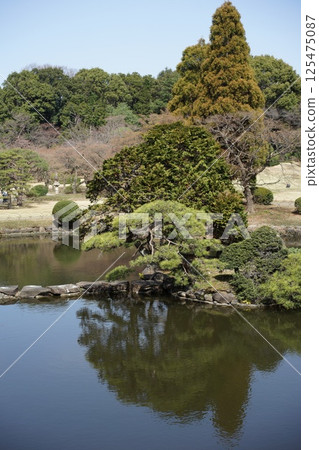 庭園中的植物與河流景觀 125475087