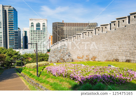 Seoul: Fresh greenery at Namsan Park and the Hanyang City Wall 125475165