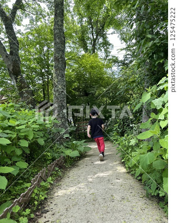 Forest walk Forest walk 125475222