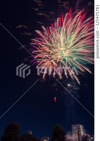 Koshigaya Fireworks Festival, Saitama Prefecture 125475761