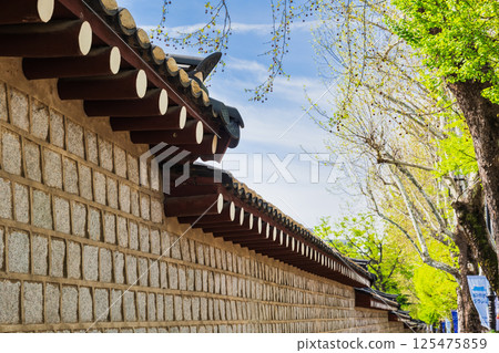 首爾：孝子路的清新綠意與景福宮的石牆 125475859