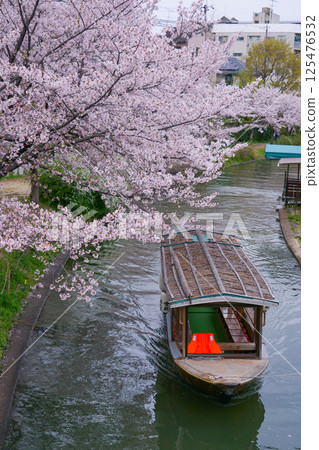Sakura and Jikkokubune in Kyoto 125476532