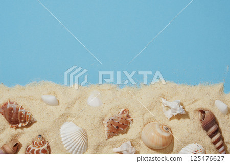 Summer beach background with white sand and brown and white shells. A place for your text. 125476627