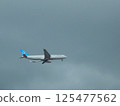 A plane flying through a cloudy sky 125477562