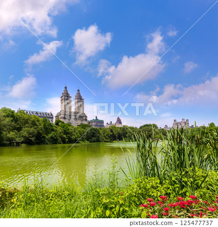 Central Park The Lake Manhattan New York Central Park The Lake Manhattan New York 125477737