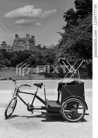 Central Park Manhattan The Lake rickshaw bike NY 125477739