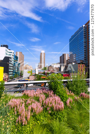 High Line Park Manhattan New York US 125477970