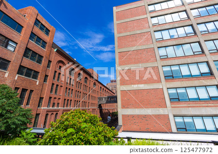 High Line Park views Manhattan New York US 125477972