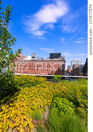 High Line Park Manhattan New York US 125477974