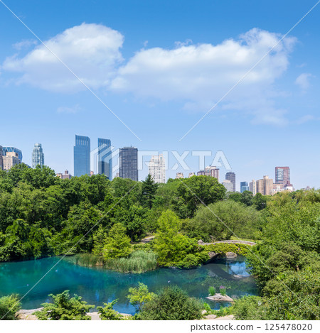 Central Park The Pond Manhattan New York 125478020