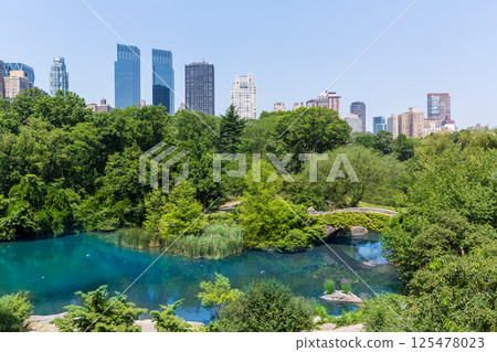 Central Park The Pond Manhattan New York 125478023