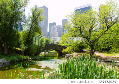 Central Park The Pond Manhattan New York Central Park The Pond Manhattan New York 125478025