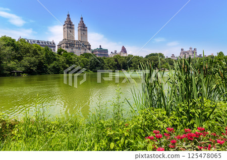 Central Park The Lake Manhattan New York 125478065