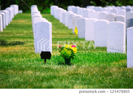 Arlington National Cemetery VA near Washington DC Arlington National Cemetery VA near Washington DC 125478805