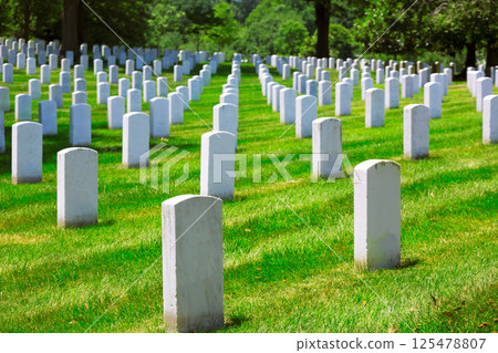 Arlington National Cemetery VA near Washington DC 125478807