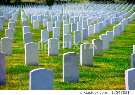 Arlington National Cemetery VA near Washington DC 125478814