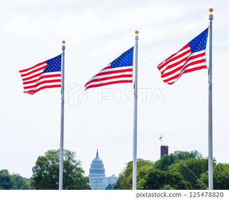 Washington Monument flags and Capitol DC USA Washington Monument flags and Capitol DC USA 125478820