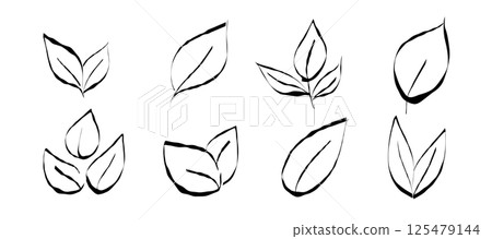Ecological Leaves Collection Hand Drawn Style 125479144