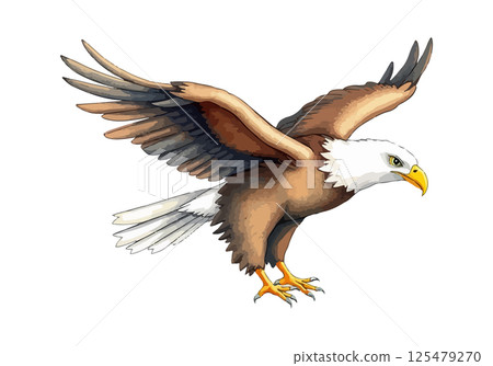 Eagle watercolor vector illustration. 125479270