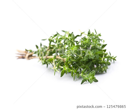 Thyme herbal on white backgrounds 125479865