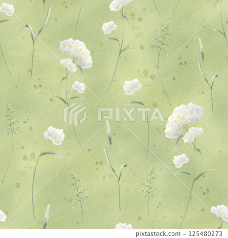 Seamless floral pattern of watercolor wildflowers yarrow and field grasses on green background. Hand drawn sketch meadow white flowers and wild greenery for fabric print, packaging and postcards 125480273