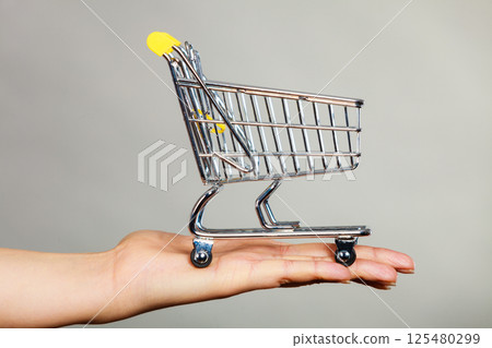 Woman hand holding small tiny shopping cart 125480299