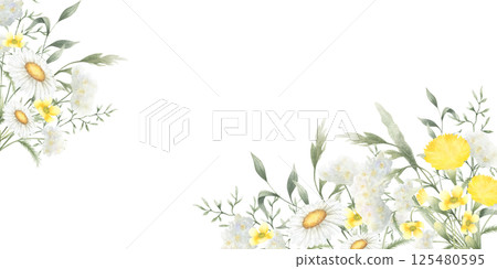 Wildflowers chamomile, dandelion, buttercup, yarrow and meadow grasses. Hand drawn isolated watercolor rectangular horizontal frame illustration of yellow and white flowers with copy space for text 125480595