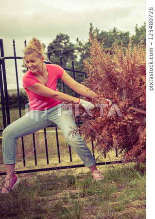 Woman removing pulling dead tree Woman removing pulling dead tree 125480728