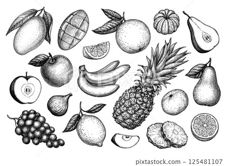 Fruits big set ink sketch. 125481107