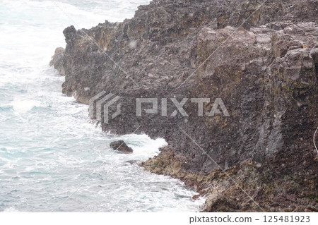 Snowy coast 125481923