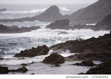 Snowy Sea 125482042