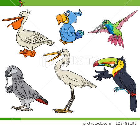 funny cartoon birds animal characters set 125482195