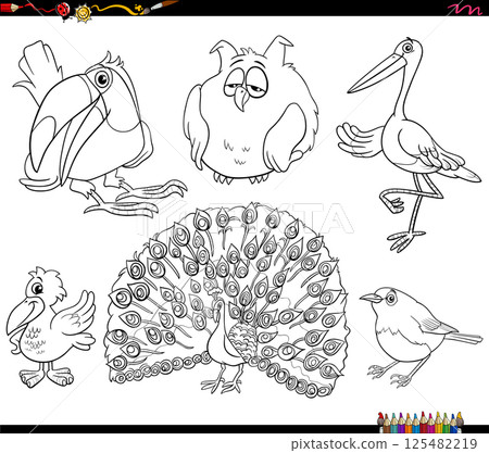cartoon birds species animal characters collection coloring page 125482219