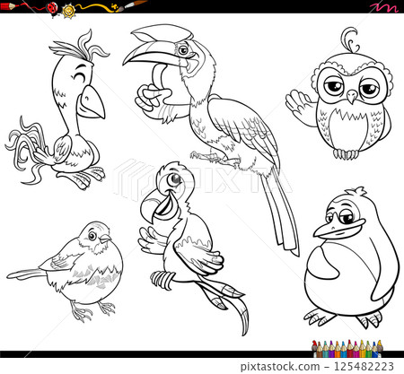 funny cartoon birds species animal characters set coloring page funny cartoon birds species animal characters set coloring page 125482223