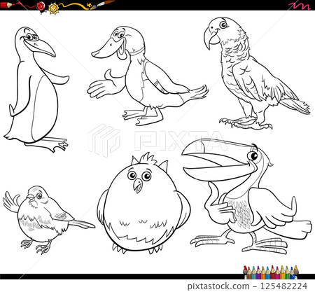 funny cartoon birds species animal characters collection coloring page 125482224