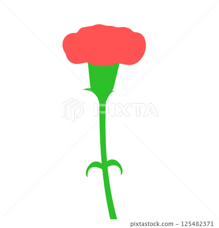 Carnation illustrations Carnation illustrations 125482371