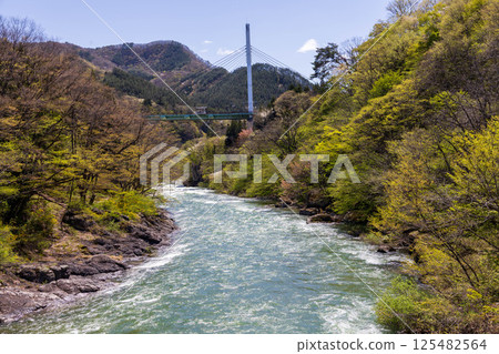 Minakami Onsen in spring: Tone River and Mt. Tanigawa seen from the Suwakyo Promenade 125482564