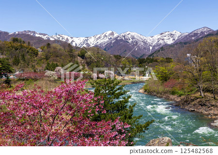 Minakami Onsen in spring: Tone River and Mt. Tanigawa seen from the Suwakyo Promenade 125482568